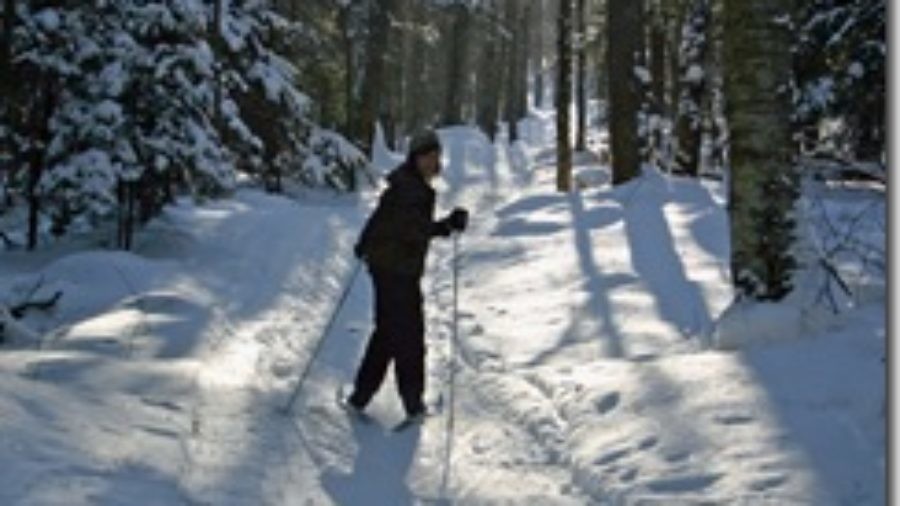 Cross Country Ski New York Nordic Centers Get The Kids Skiing