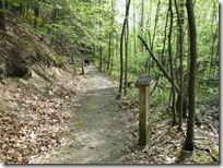 Hiking The Deer Mountain Nature Trail