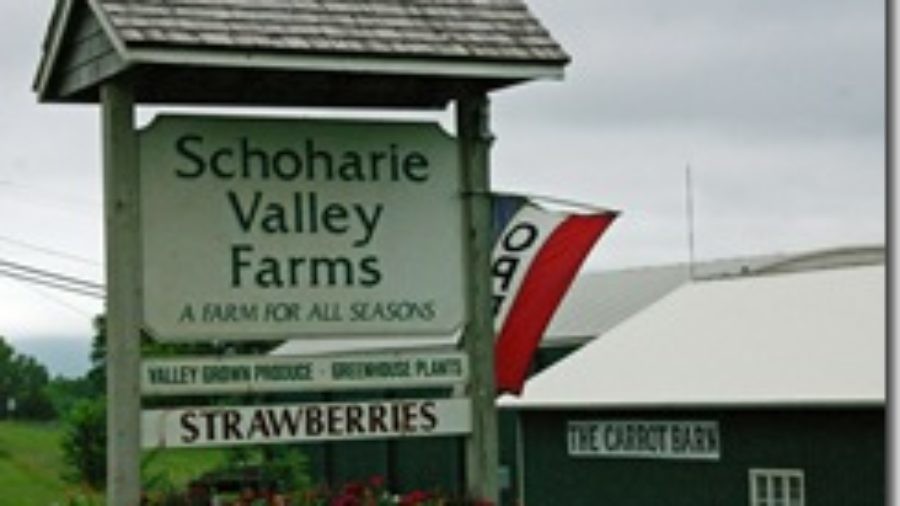 Strawberries And Biscuits At Schoharie Valley Farms