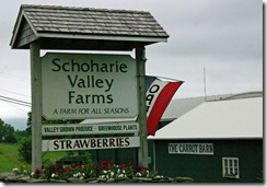 Strawberries and Biscuits at Schoharie Valley Farms