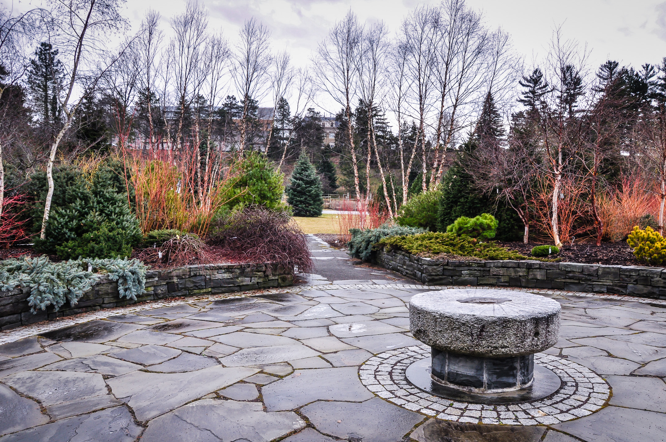 Cornell Botanic Garden in winter