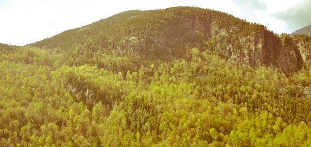 Adirondacks - wilder now than they were 100 years ago.