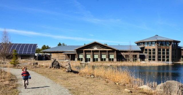 Wild Center - exterior shot, young child running on path by the pond.