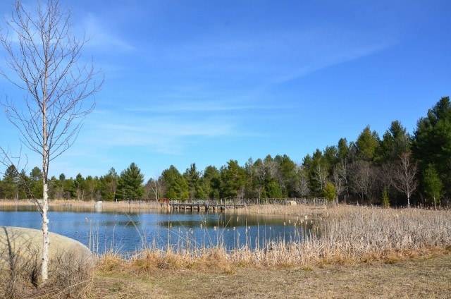 Wild Center - view of pond in the Adirondacks landscape.