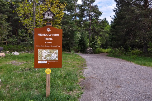 Wild Center - Meadow Bird Trail