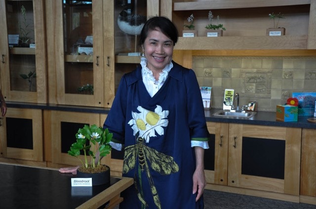 Supawadee "Pa" Ngamhuy posed with a clay polymer model of a Bloodroot plant in the Naturalists Cabinet at the Wild Center.