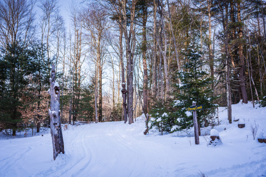 Cross Country Skiing Near Me Albany New York