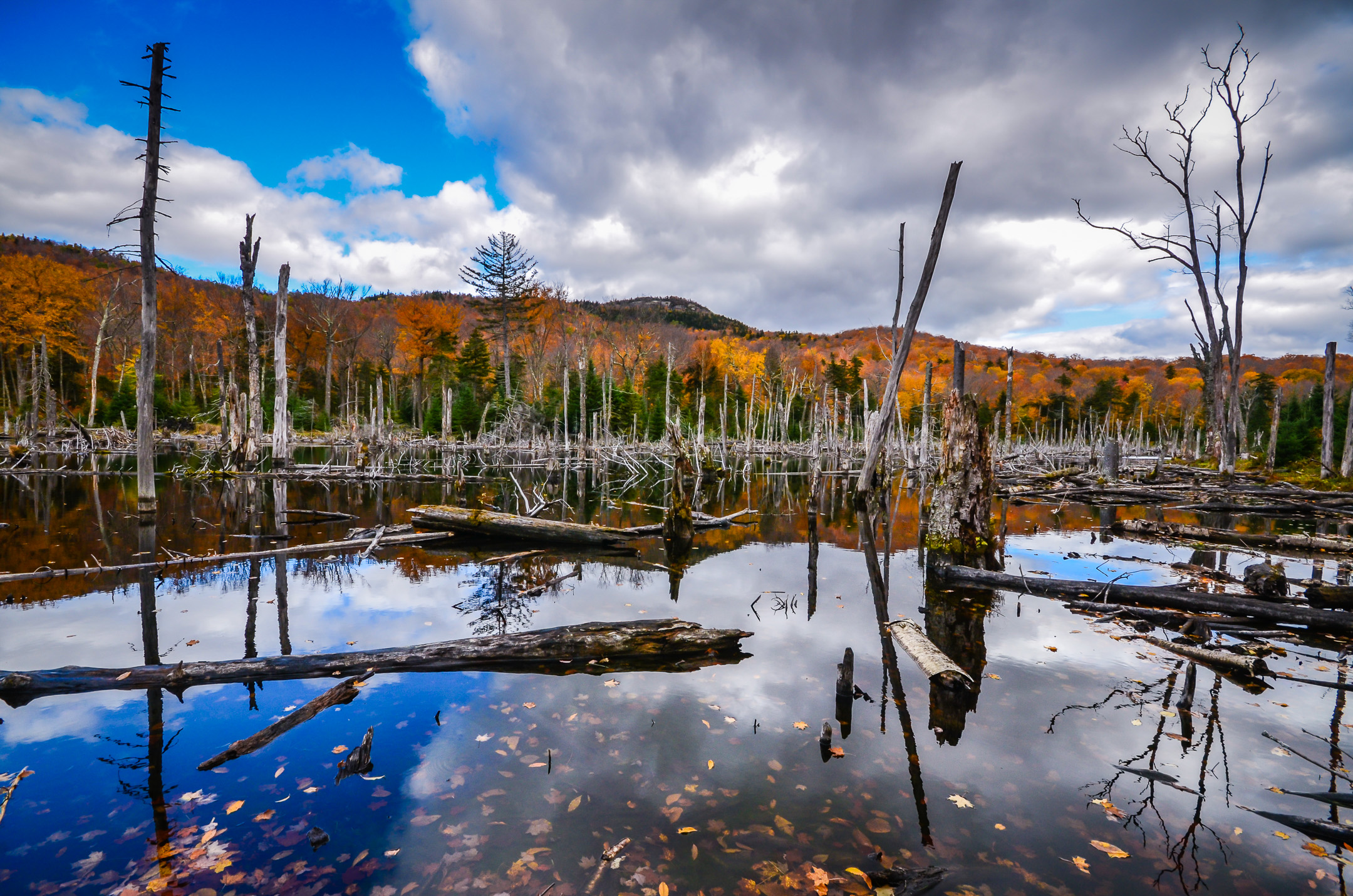 Reflection of clouds and fall foliage on pond in the Adirondacks.