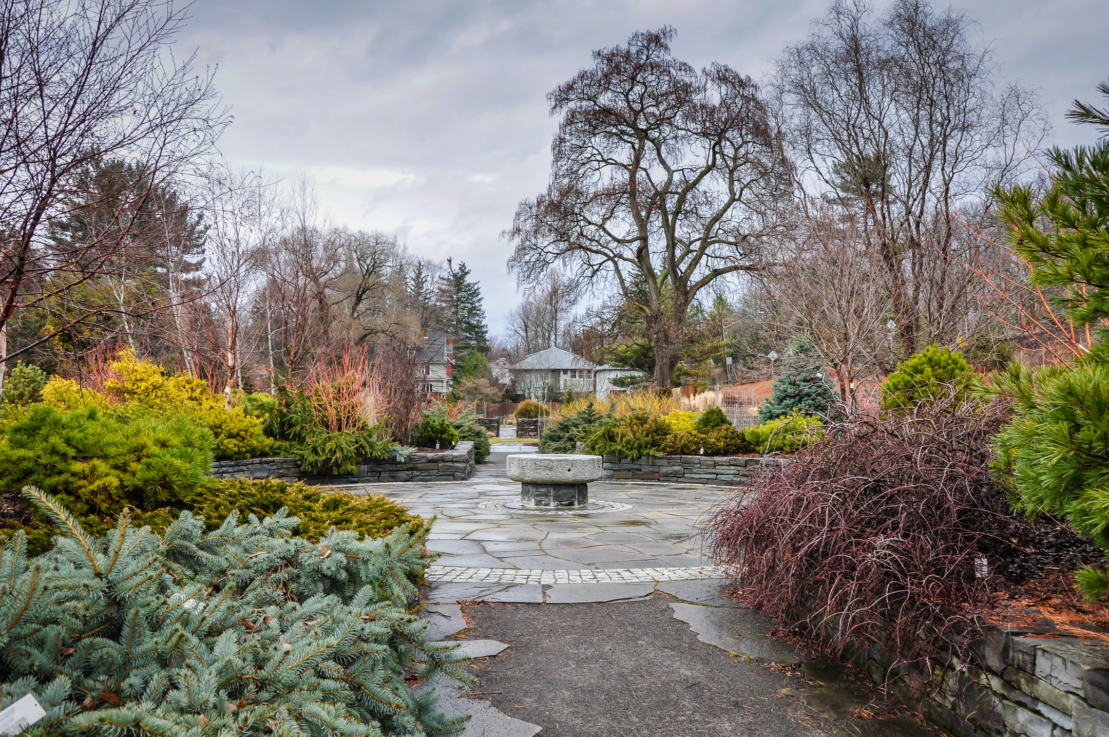 Cornell Botanic Gardens in winter.